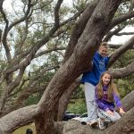 Tay & Tess in the tree by the parking lot