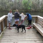 The lake at the Congaree National Park
