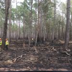 There are many controlled fires at this park