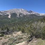 Simply spectacular views