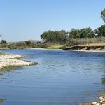 Another part of the river